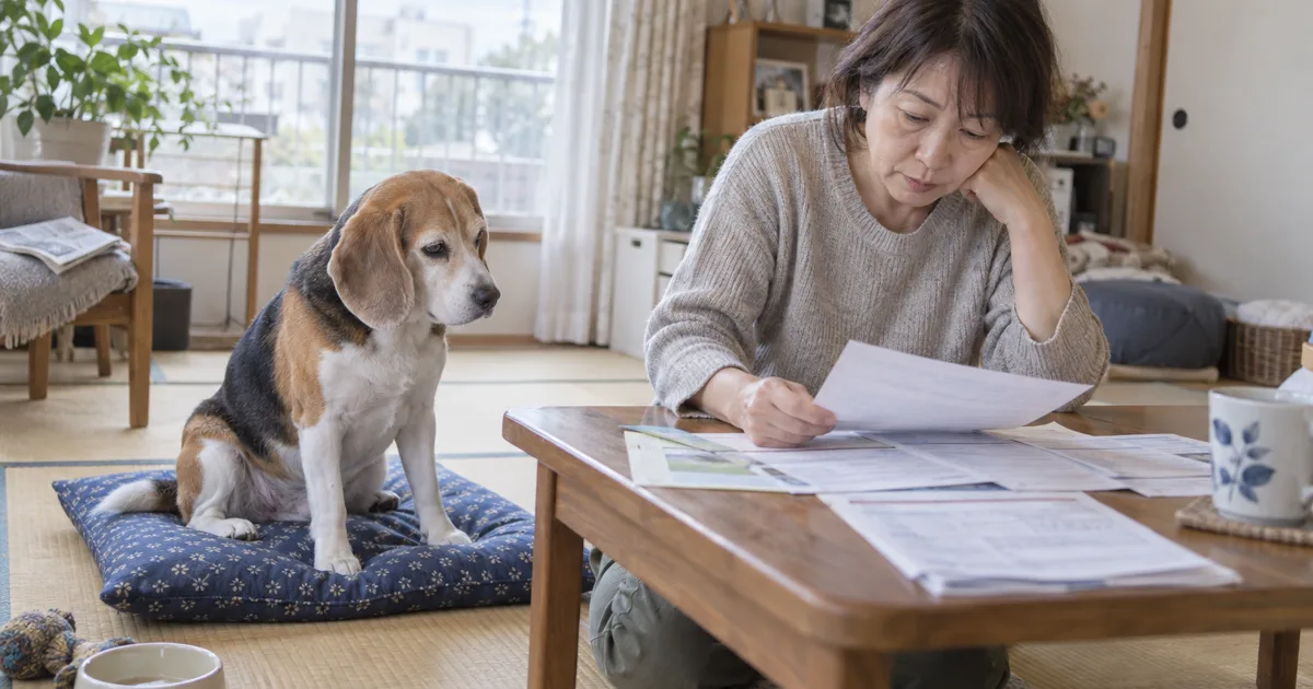 和室の座卓で料金の資料を見比べる50代の女性と、座布団の上に座るビーグル