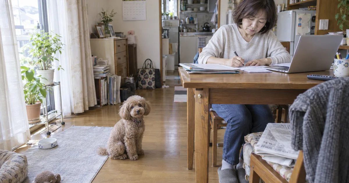 自宅の机で書類に記入する50代の女性と、床に座るトイプードル